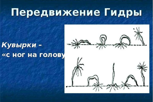 Кракен даркнет маркет ссылка тор