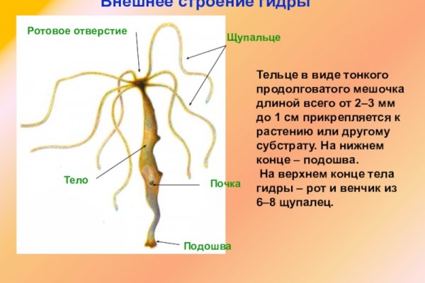 Рабочее зеркало на кракен