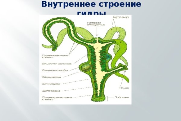 Кракен маркетплейс в россии