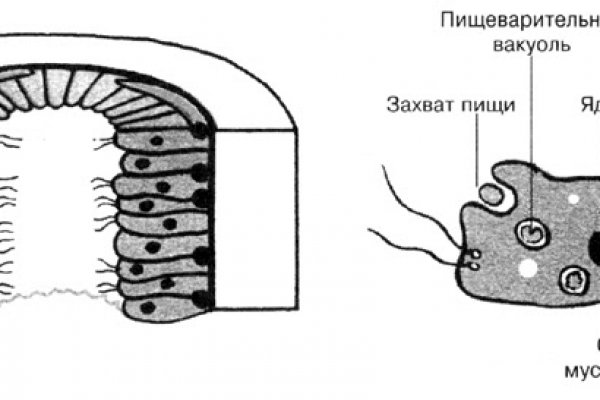 Новый адрес кракен