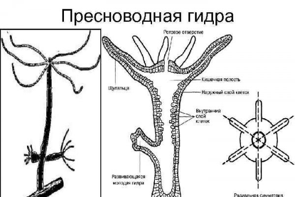 Актуальная ссылка на кракен kraken